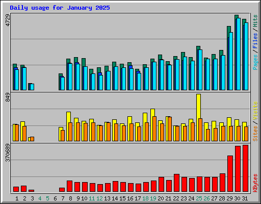 Daily usage for January 2025