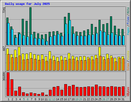 Daily usage for July 2025
