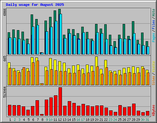 Daily usage for August 2025