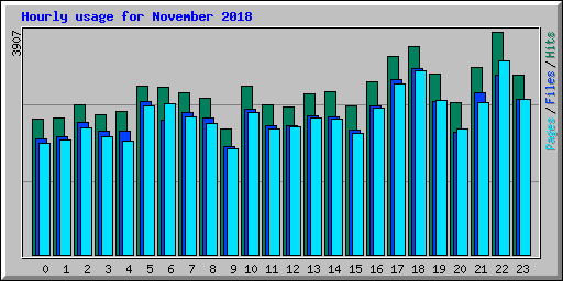 Hourly usage for November 2018