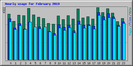 Hourly usage for February 2019