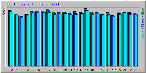Hourly usage for March 2021