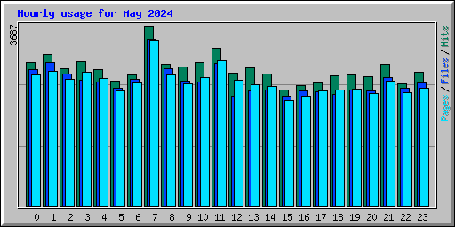 Hourly usage for May 2024