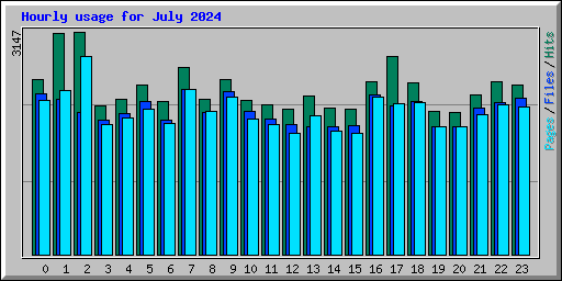 Hourly usage for July 2024