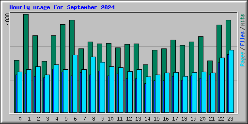 Hourly usage for September 2024