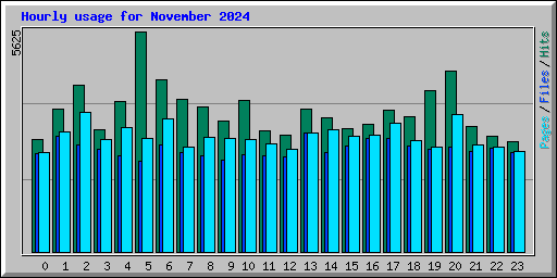 Hourly usage for November 2024