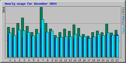 Hourly usage for December 2024