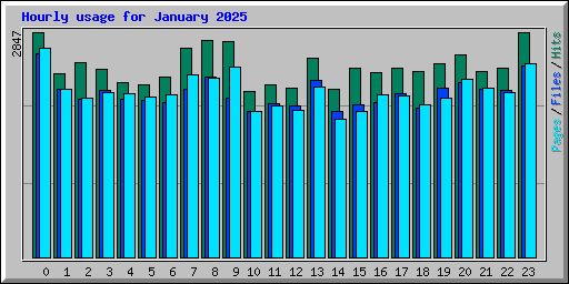 Hourly usage for January 2025