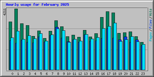 Hourly usage for February 2025