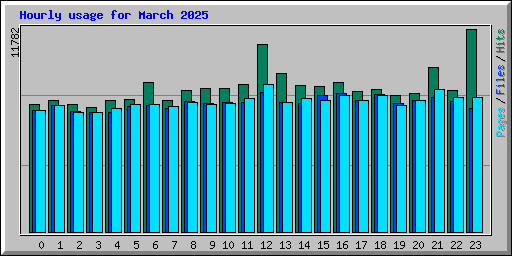 Hourly usage for March 2025