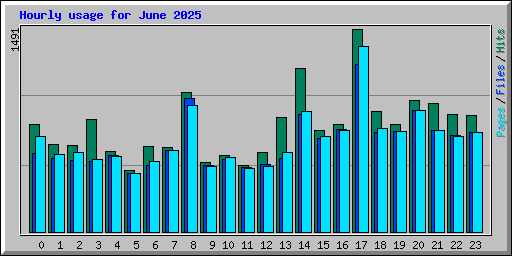 Hourly usage for June 2025