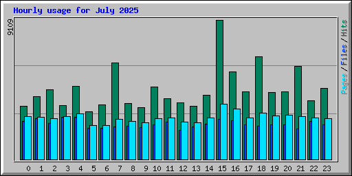 Hourly usage for July 2025