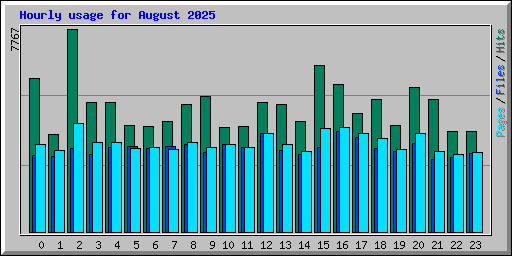 Hourly usage for August 2025