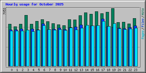 Hourly usage for October 2025