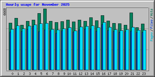 Hourly usage for November 2025
