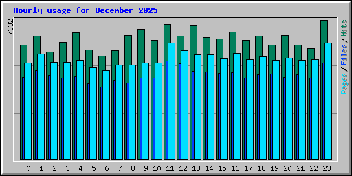 Hourly usage for December 2025