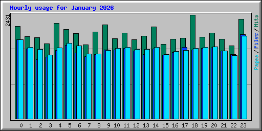 Hourly usage for January 2026