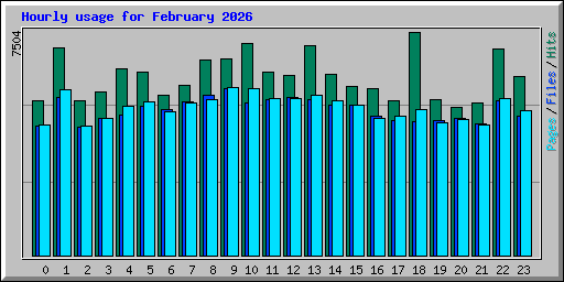 Hourly usage for February 2026